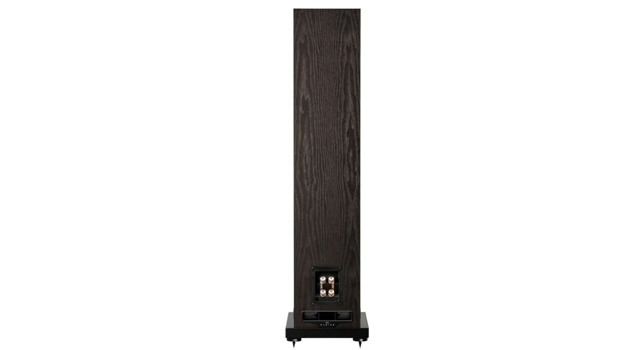 Fyne Audio F-501E Diffusori da pavimento "best-buy"